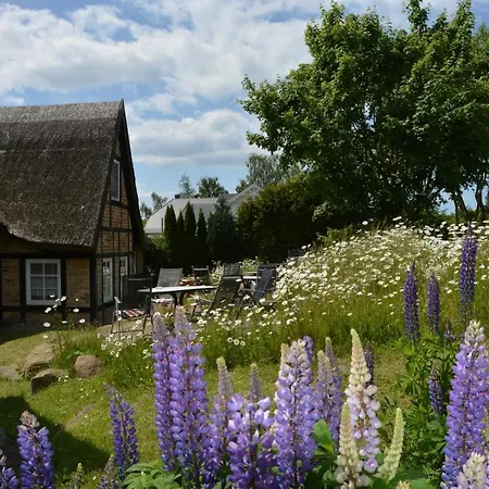 Holiday home Uns Schuen Middelhagen